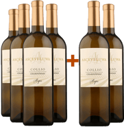 4+2 Paket Rupis Chardonnay Collio Goriziano DOC