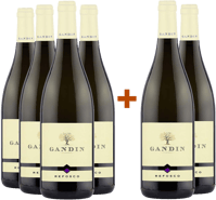 4+2 Paket Refosco dal Peduncolo Rosso Friuli Isonzo DOC