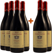 4+2 San Ferdinando Ciliegiolo Toscana IGP