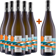 5+1 Paket Coste a Preola Grillo Sicilia DOC BIO
