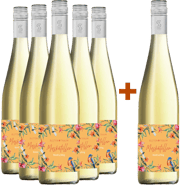 5+1 Paket Blütentraum Muskateller