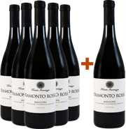 5+1 Paket Tramonto Rosso Primitivo Basilicata IGP