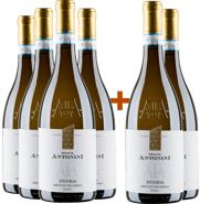 4+2 Paket Hydria Pecorino d'Abruzzo DOC