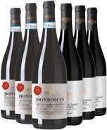 Nestore Bosco Montepulciano DOC Kennenlern-Paket