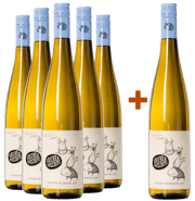 5+1 Gelber Muskateller BIO Paket BIO