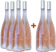 4+2 Paket Côtes de Provence BIO