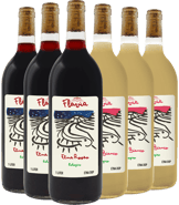 Flavia Rebellious Wines Kennenlern-paket Etna DOC BIO