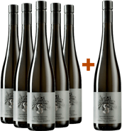 5+1 Paket Grüner Veltliner Reserve trocken