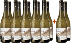 10+2 Paket Falde Insolia Viognier Carricante Terre Siciliane IGP