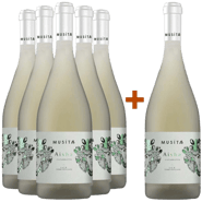 5+1 Paket Aysha Catarratto Terre Siciliane IGP