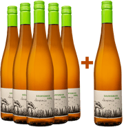 5+1 Paket Souvignier Gris trocken