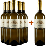 5+1 Paket Pinot Grigio Le Marsure Friuli DOC
