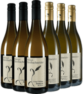 Grüner Veltliner-Paket trocken