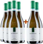 4+2 Paket Vitis Passerina d'Abruzzo DOC