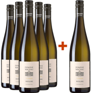 Riesling Federspiel Terrassen-Paket