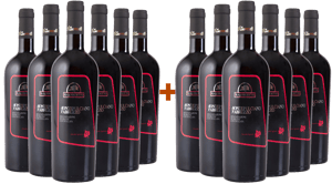 6+6 Paket Montepuciano D'Abruzzo DOC