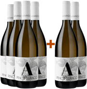 4+2 Paket Pinot Bianco Friuli Isonzo DOC