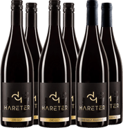 Zweigelt-Paket trocken