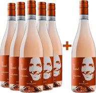 5+1 Paket Chiaretto di Bardolino DOC