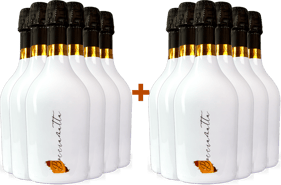 6+6 Paket Bocciamatta Rosa Spumante