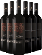 Cantina Coppi Primitivo Paket
