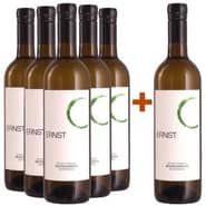 5+1 Paket Grüner Veltliner trocken