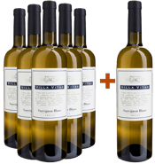 5+1 Paket Sauvignon Friuli DOC