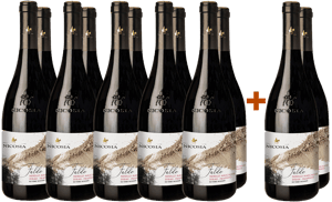 10+2 Paket Falde Nerello Mascalese Syrah Frappato Terre Siciliane IGP