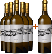 5+1 Paket 2017 Impetus Blanc