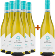 5+1 Paket Le Piaole Verdicchio dei Castelli di Jesi Classico BIO