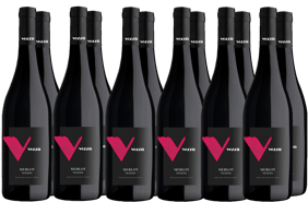 Bertazzo 1840 Box Promozionale Merlot Veneto IGP