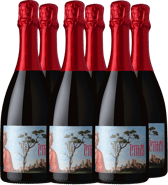 Conegliano Valdobbiadene Prosecco Superiore DOCG Paket