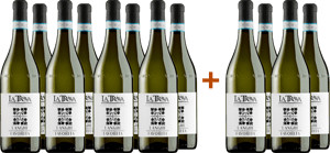 8+4 Paket Langhe Favorita DOC