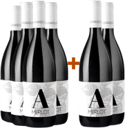 4+2 Paket Merlot Friuli Isonzo DOC