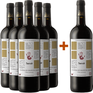 5+1 Paket cuvée "Terroir" Côtes de Bourg AOP BIO