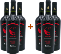 3+3 Paket Primitivo Primo Re Salento IGP