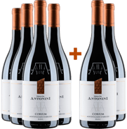 4+2 Paket Corium Montepulciano d'Abruzzo DOC
