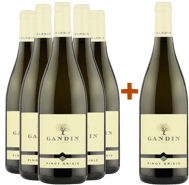 5+1 Paket Pinot Grigio Friuli Isonzo DOC
