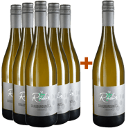 5+1 Paket Grauburgunder FundamenT