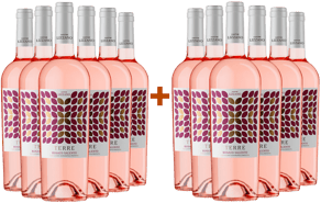 6+6 Paket Terre Rosato del Salento IGP