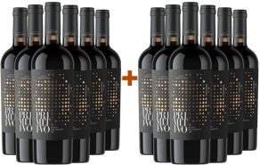 6+6 Paket Racioppo Primitivo Salento IGP