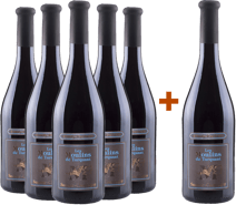5+1 Paket Les Moulins de Turquant Saumur Champigny AOP
