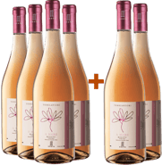 6+6 Paket Terredifiori A Mare Rosé Toscana IGP