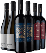  Don Tomasi Kennelern-Paket