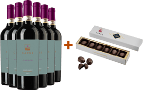 Gàudio Chianti Gran Selezione DOCG Paket + Geschenk