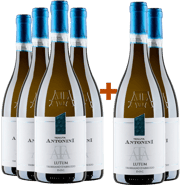 4+2 Paket Lutum Trebbiano d'Abruzzo DOC