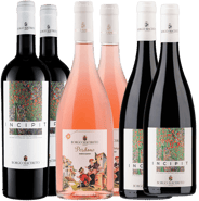 Borgo Macereto Kennenlern-Paket BIO