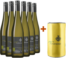 6er Paket Ried Schiefer inkl. gratis Kühlmanschette