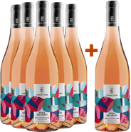 5+1 Paket Rosa dei Venti Nerello Mascalese Terre Siciliane IGP BIO