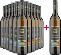 11+1 Paket "Kreuz & Quer" Sauvignon Blanc trocken